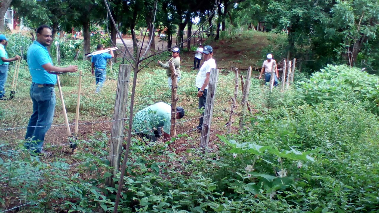 Reforesta2
